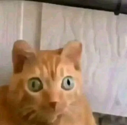 Antonio