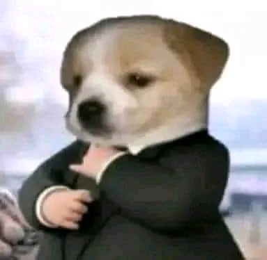 Zeega