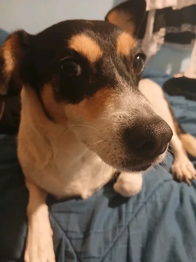 Alejandro