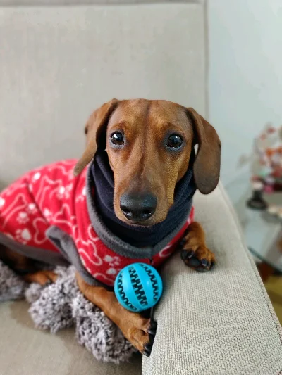 Pablo B.