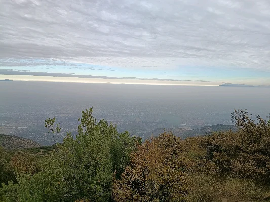 Nolberto G.