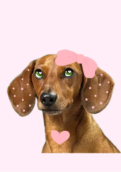 Dasha