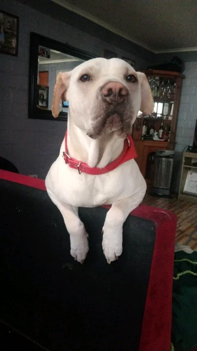 Carlos E.