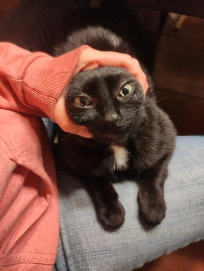 Margarita N.