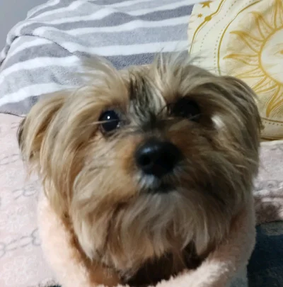 Mía P.