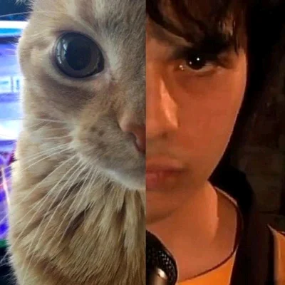 Gusgus T.