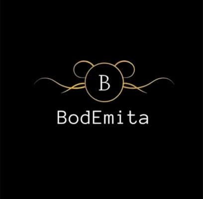 Bodemita