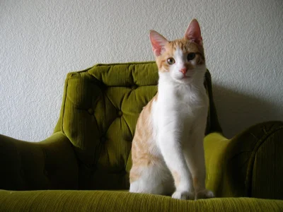 Mathias G.