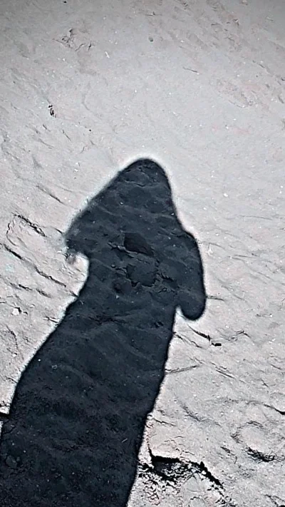 Rocio