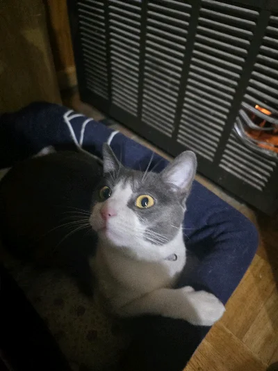 Kat M.