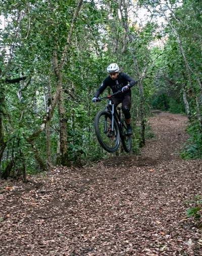 Francisco B.