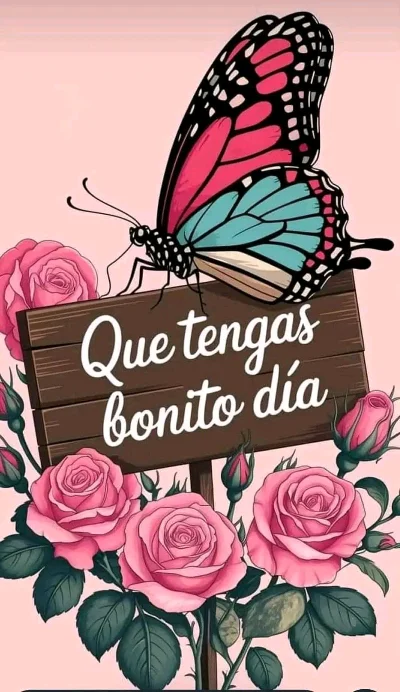 Controles C.