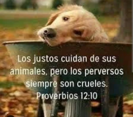 Beatriz M.