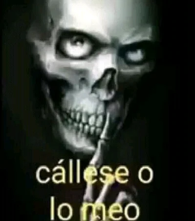 Vicente L.