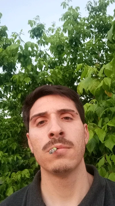 Donno S.
