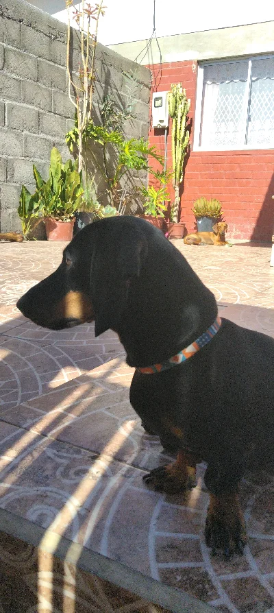 Juan A.