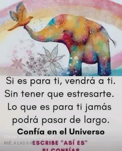 Vicky A.