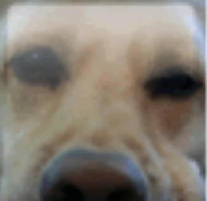 Leandro
