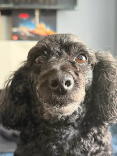 Sebastian H.
