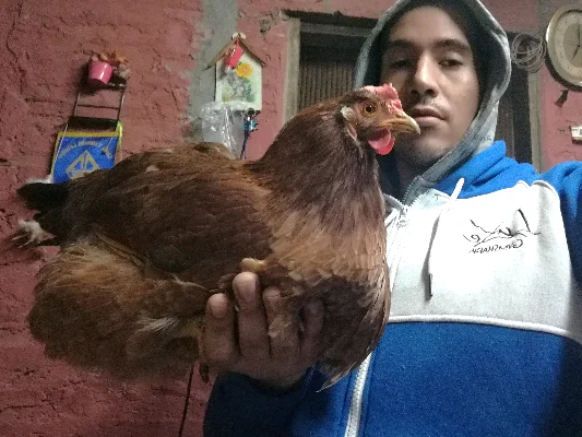 Lucas C.