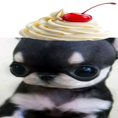Mon R.