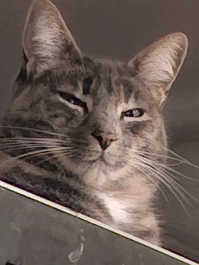 Joaquin