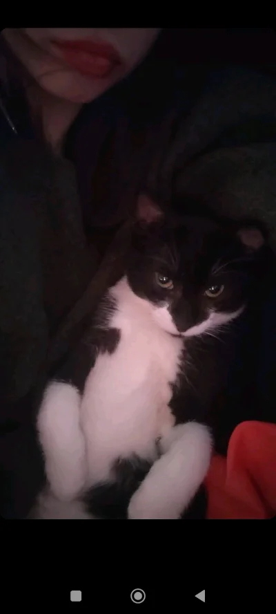 Sebastian S.