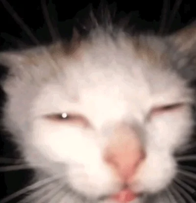 Joaquin