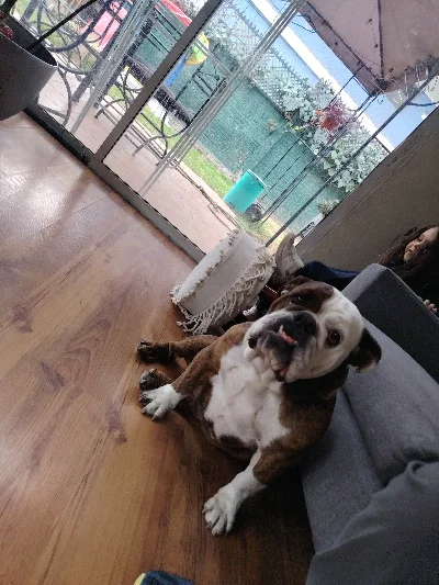 Sebastián B.