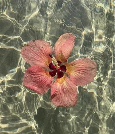 Paula B.