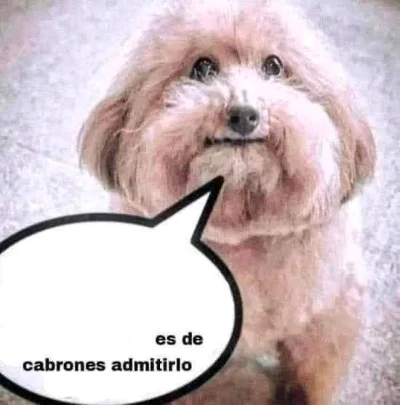 Vicente T.