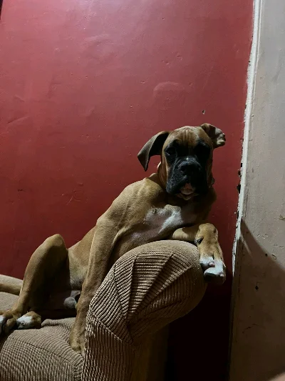 Felipe E.