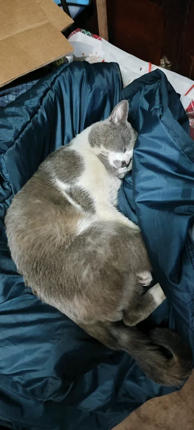 Victor