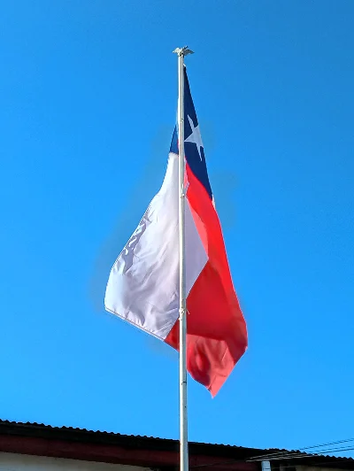 Vicente T.