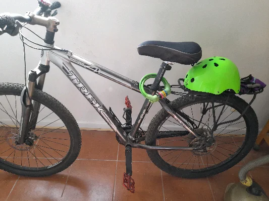 Daniela V.