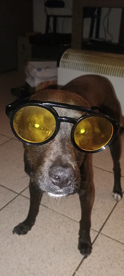 Cristopher D.