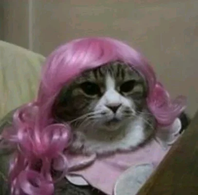 Fabiana C.