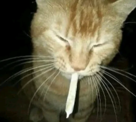 Luciano V.