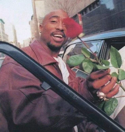Flowers B.