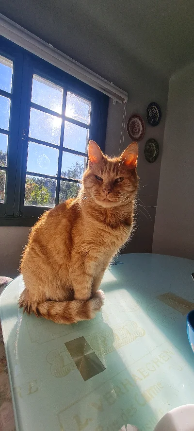 Francisca