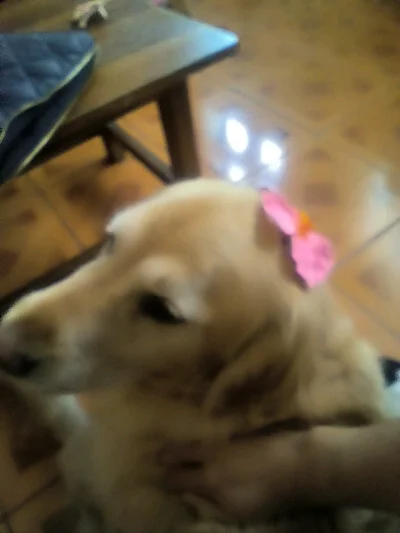Matii